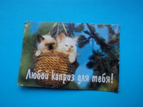 Календарі Календари ^/--/^ Кошки. Котята. 2005 /--/ г. ^_^^^ Кішки. Котята. 2005 /--/ р. - фото фото фото