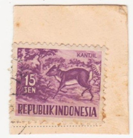 Індонезія Индонезия ^/--/^ Индонезия   1956 г.№  204 гашеная ^_^^^ Індонезія 1956 р. No 204 гашена - фото фото фото