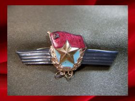 Відзнаки Знаки отличий ^/--/^ 609 Классность, сверхсрочник СА, армия, вооруженные силы СССР, тяжелый металл, горячая эмаль. ^_^^^ 609 Класність, надстроковик СА, армія, збройні сили СРСР, важкий метал, гаряча емаль. - фото фото фото