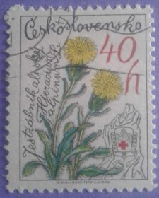 Флора Флора ^/--/^ Чехословакия 1979 флора альпийские цветы Mi 2497 ^_^^^ 1979 флора альпійські квіти Mi 2497 - фото фото фото