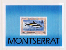 Фауна Фауна ^/--/^ NM Фауна .  Монсеррат 1990 г  MNH - блок - дельфин ^_^^^ NM Фауна . Монсеррат 1990 MNH - блок - дельфін - фото фото фото
