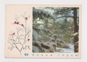 СРСР СССР ^/--/^ С НОВЫМ ГОДОМ  ДМПК 1969 г.  ФИЛИППОВ, РАСКИН  чистая  ^_^^^ З Новим роком ДМПК 1969 Філіппов, Расин чиста - фото фото фото