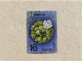 СРСР - СССР - ^/--/^ Поштова марка СССР &amp;quot; Експо 74 &amp;quot; 1974 рік ^_^^^ Почтовая марка СССР &amp;quot; Экспо 74 &amp;quot; 1974 год - фото фото фото