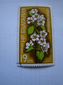 Інші країни Другие страны ^/--/^ Болгария, Михель 2009  (Юговост. Европа), 2377, Цветы. ^_^^^ Болгарія, Міхель 2009 (Південна Європа), 2377, Квіти. - фото фото фото