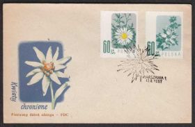 Європа Европа ^/--/^ Польша 1957 ФЛОРА ЦВЕТЫ РАСТЕНИЯ ДИКАЯ ПРИРОДА ЭКОСИСТЕМА АРЕАЛ ПРОИЗРАСТАНИЯ Два КПД Mi.1020-1024 ^_^^^ Польща 1957 ФЛОРА ЦВЕТИ РАСТІННЯ ДІКА ПРИРОДУ ЕКОСИСТЕМА АРЕАЛ ВИРОБНИЦТВА Два ККД Mi.1020-1024 - фото фото фото