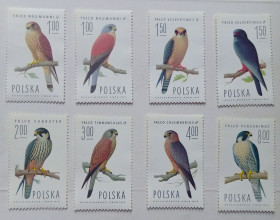 Польща Польша ^/--/^ Польша 1975 Соколы, птицы, MNH  (КЦ=7 евро) ^_^^^ Польща 1975 Соколи, птахи, MNH (КЦ = 7 євро) - фото фото фото
