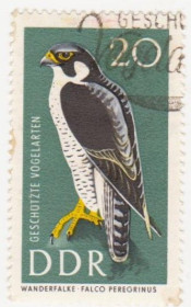 НДР, ФРН ГДР, ФРГ ^/--/^ ГДР 1967 г. № 1016 гашеная ^_^^^ НДР 1967 р. No 1016 гашена - фото фото фото