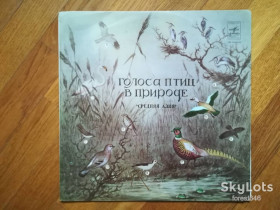 Платівки Пластинки ^/--/^ Голоса птиц в природе-Средняя Азия  (1)-NM-Мелодия ^_^^^ Голоси птахів у природі-Середня Азія (1)-NM-Мелодія - фото фото фото