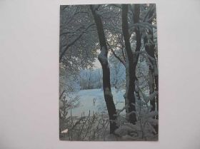 СРСР СССР ^/--/^ Открытка Зимы узоры фото Скачков 1987 год ^_^^^ Листівка Зими візерунки фото Скачков 1987 - фото фото фото