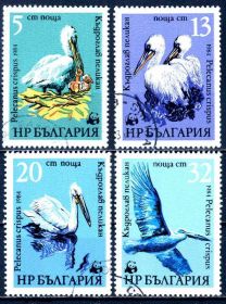 Фауна Фауна ^/--/^ Болгария. Пеликаны. WWF  (серия) 1984 г. ^_^^^ Болгарія. Пелікани. WWF (серія) 1984 - фото фото фото