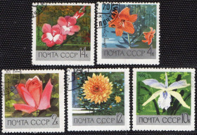 СРСР - СССР - ^/--/^ СРСР 1969 - Квіти  (Г) повна серія ^_^^^ СССР 1969 — Цветы (Г) полная серия - фото фото фото
