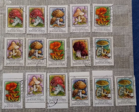 Флора Флора ^/--/^ Венгрия 1986 г - Ядовитые грибы, 19 шт  (см.фото) ^_^^^ Угорщина 1986 р - Отруйні гриби, 19 шт (див.фото) - фото фото фото