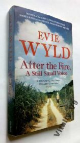 Художня література Художественная литература ^/--/^ Evie Wyld. After the Fire, a Still Small Voice. - фото фото фото