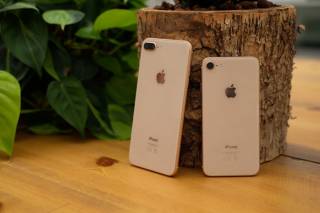 Apple iPhone Apple iPhone ^/--/^ APPLE iPHONE 8/8+/X 64/256 /--/ gb Gold/Silver/Space Gray НОВЫЙ, оригинал ^_^^^ APPLE iPHONE 8/8+/X 64/256 /--/ gb Gold/Silver/Space Gray НОВИЙ, оригінал - фото фото фото