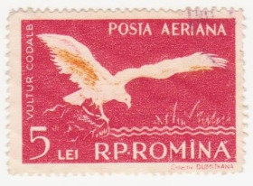 Румунія Румыния ^/--/^ Румыния 1957 г №  1699 гашеная ^_^^^ Румунія 1957 р. No 1699 гашена - фото фото фото