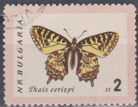 Фауна Фауна ^/--/^ Болгария Болгарія 1962 фауна бабочка ^_^^^ Болгария Болгария 1962 фауна бабочка - фото фото фото