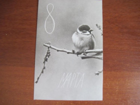 СРСР СССР ^/--/^ 8 марта 1965 косяков фотоотурытка  Чистая  розпродаж колекції ^_^^^ 8 марта 1965 года косяков фотоотуритка Чистая распродажа коллекции - фото фото фото