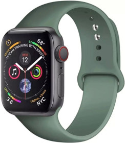 Браслети, ремінці Браслеты, ремешки ^/--/^ Силиконовый браслет для Apple Watch 38 /--/ mm / 40 /--/ mm #58 ^_^^^ Силіконовий браслет для Apple Watch 38 /--/ mm / 40 /--/ mm #58 - фото фото фото