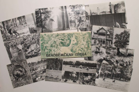 СРСР СССР ^/--/^ Беловежская пуща. Набір откриток 1977 рік ^_^^^ Беловежская пуща. Набор открыток 1977 год - фото фото фото