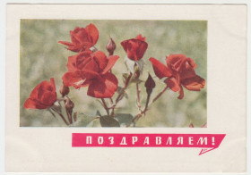 СРСР СССР ^/--/^ Розы Поздравляем Цветы 1968 Дергилев Матанова Р /--/ 11 /--/ А ^_^^^ Вітаємо Квіти 1968 Держильов Матанова Р /--/ 11 /--/ А - фото фото фото