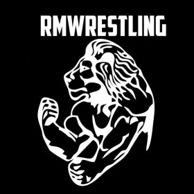 Наліпки, емблеми Наклейки, эмблемы ^/--/^ Наклейка на авто Лев rmwrestling Белая ^_^^^ Наклейка на авто Лев rmwrestling Біла - фото фото фото