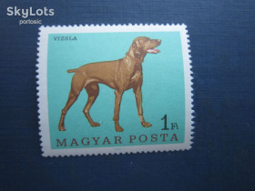 Фауна Фауна ^/--/^ Марка Угорщина 1967 фауна собаки порода віжла MNH ^_^^^ Марка Венгрия 1967 фауна собаки порода вижла MNH - фото фото фото