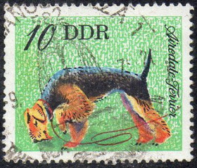 Інші країни Другие страны ^/--/^ НДР 1976 - Породи собак  (Г) ^_^^^ НДР 1976 Породи собак (Г) - фото фото фото