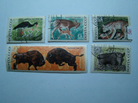 СРСР - СССР - ^/--/^ СССР, Михель  (2009), 3667-3671. Беловежская пуща. ^_^^^ СРСР, Міхель (2009), 3667-3671. Біловезька пуща. - фото фото фото
