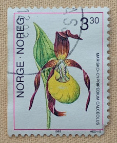 Флора Флора ^/--/^ Норвегия 1992 г - Орхидеи. Cypripedium calceolus  (Башмачок настоящий или Венерин башмачок), гаш ^_^^^ Норвегія 1992 р - Орхідеї. Cypripedium calceolus (Башмачок справжній або Венерин вежачок), гашмачок - фото фото фото