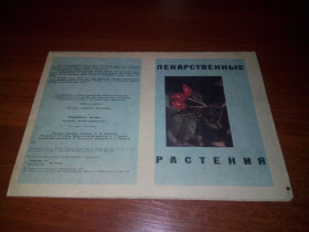 Видання - р. Издания - гг. ^/--/^ Лекарственные растения  (наглядное пособие-определитель) ^_^^^ Лікарські рослини (наочний посібник-визначник) - фото фото фото