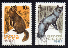 СРСР - СССР - ^/--/^ СРСР 1967 - Пушні промислові звірі  (Г) ^_^^^ СССР 1967 — Пушные промышленные звери (Г) - фото фото фото