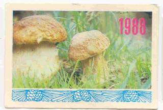 Календарі Календари ^/--/^ СССР 1988 Календарик  Флора Фауна Грибы ^_^^^ СРСР 1988 Календарик Флора Фауна Гриби - фото фото фото
