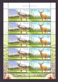 Фауна Фауна ^/--/^ Фауна Молдова  2008 г  MNH - м/листы ^_^^^ NM Фауна Молдова 2008 MNH - м/листи - фото фото фото