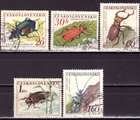 Фауна Фауна ^/--/^ Чехословакия. Жуки   (серия без 1 м.) 1962 г. ^_^^^ Чехословаччина. Жуки (серія без 1 м.) 1962 - фото фото фото