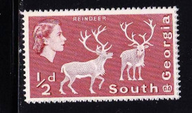 Фауна Фауна ^/--/^ Южная Джорджия  1963 г  MNH - олени ^_^^^ Південна Джорджія 1963 MNH - олені - фото фото фото