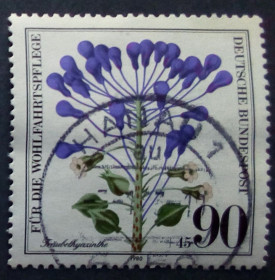 НДР, ФРН ГДР, ФРГ ^/--/^ Германия 1980 Цветы, флора, из серии, гашеная  (КЦ=1,6 евро) ^_^^^ Німеччина 1980 Квіти, флора, з серії, гашена (КЦ = 1,6 євро) - фото фото фото