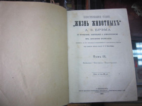Видання - р. Издания - гг. ^/--/^ А. БРЕМ. ЖИЗНЬ ЖИВОТНЫХ. 1895 Г.  ТОМ 9. ^_^^^ А. Брем. Життя тварин. 1895 Г. ТОМ 9. - фото фото фото