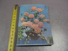СРСР СССР ^/--/^ открытка поздравляю 1977 германа телеграмма №10275 ^_^^^ вітаю 1977 германа телеграма No 10275 - фото фото фото