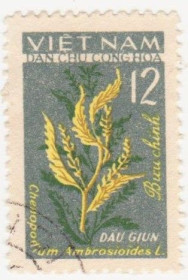 В'єтнам Вьетнам ^/--/^ Северный Вьетнам 1963  г. № 289 гашеная ^_^^^ Північний В'єтнам 1963 р. No 289 гашена - фото фото фото