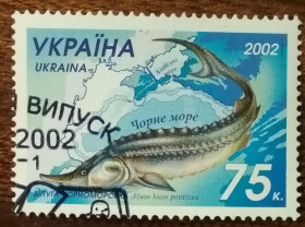 Після  року После  года ^/--/^ Фауна морей. Совместный выпуск Украина — Казахстан 2002 ^_^^^ Фауна морів. Спільний випуск Україна — Казахстан 2002 - фото фото фото