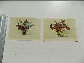 СРСР СССР ^/--/^ Открытки СССР Цветы 2 шт Ширпотреб 1957 год ^_^^^ Листівки СРСР Квіти 2 шт Ширспожив 1957 - фото фото фото