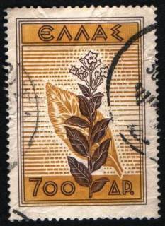 Флора Флора ^/--/^ Греция (1953) Табак. Сельское хозяйство. Флора ^_^^^ Греція (1953) тютюн. Сільське господарство. Флора - фото фото фото