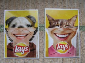 Україна Украина ^/--/^ ОТКРЫТКА LAYS. Забавная, смешная, 2 штуки ^_^^^ Відкриття LAYS. Забавна, смішна, 2 штуки - фото фото фото