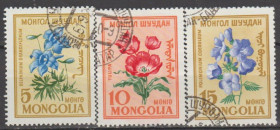 Флора Флора ^/--/^ Монголия Монголія 1960 флора квіти ^_^^^ Монголия Монголия 1960 флора цветы - фото фото фото