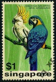Фауна Фауна ^/--/^ Сингапур. Попугаи (концовка)** 1975 г. ^_^^^ Сінгапур. папуги (кінцівка) 1975 - фото фото фото