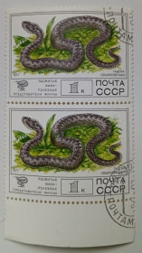 СРСР - СССР - ^/--/^ СССР 1977 Ядовитые змеи, сцепка, гашеная ^_^^^ СРСР 1977 Отруйні змії, зчіпка, гашена - фото фото фото