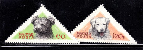 Фауна Фауна ^/--/^ Фауна . Венгрия  MNH - ^_^^^ Фауна . Угорщина MNH - - фото фото фото