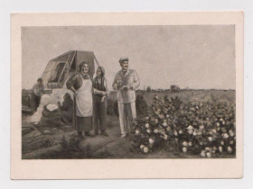 СРСР СССР ^/--/^ УТРО НА ХЛОПКОВОМ ПОЛЕ  худ. СОСНИН  1955 г - Туркменское гос.издательство  чистая  тир 25 тыс  ^_^^^ УТРО НА ХЛОПКОВОМУ ПОЛІ худ. СОСНИН 1955 - Туркменське держ.видавництво чистий тир 25 тис - фото фото фото