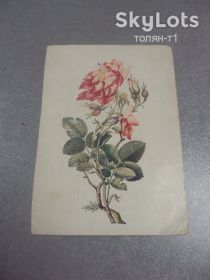СРСР СССР ^/--/^ открытка куст розы лютф-али 1935 гознак №10926 ^_^^^ листівка кущ троянди лютф-алі 1935 гознак No /--/ 10926 - фото фото фото
