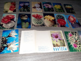 СРСР СССР ^/--/^ Набор открыток Кактусы  15 /--/ шт СССР ^_^^^ Набір листівок Кактуси 15 /--/ шт СРСР - фото фото фото
